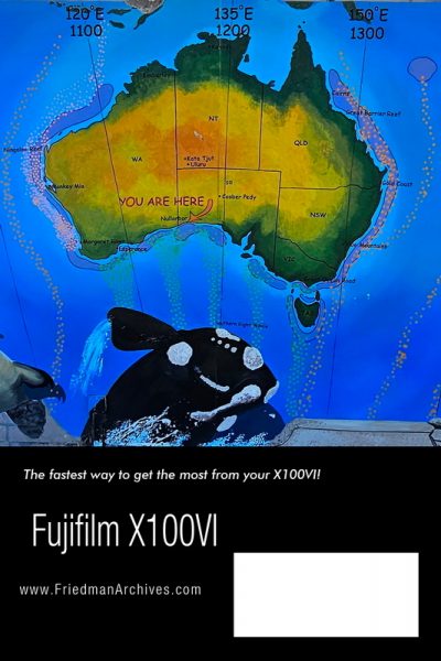 X100vi-Back_Cover800